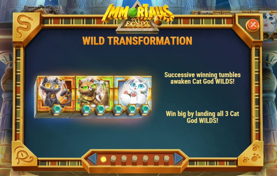 wild transformations ImmorTails Egypt