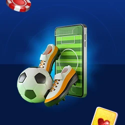 Wat zijn fantasy sports?