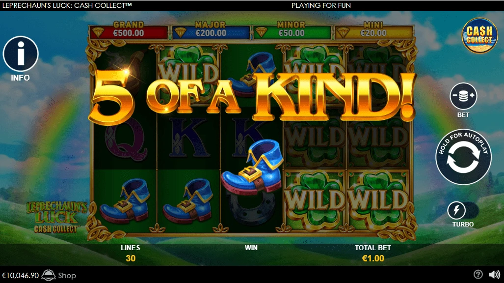 Leprechaun's Luck Cash Collect 5 of a kind schoen